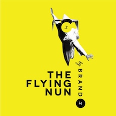 The Flying Nun by Brand X